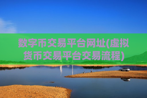 数字币交易平台网址(虚拟货币交易平台交易流程)