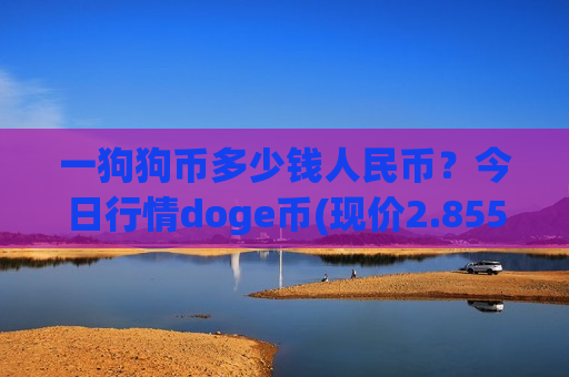 一狗狗币多少钱人民币？今日行情doge币(现价2.8554元)