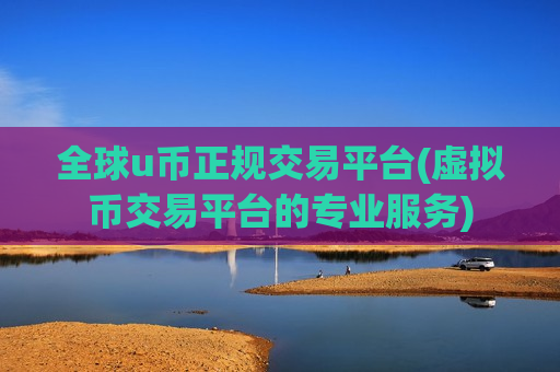 全球u币正规交易平台(虚拟币交易平台的专业服务)