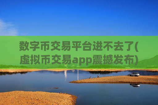 数字币交易平台进不去了(虚拟币交易app震撼发布)