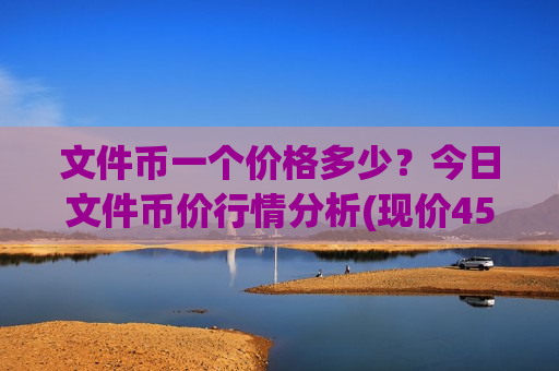 文件币一个价格多少？今日文件币价行情分析(现价45.6447元)