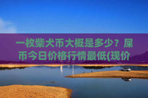 一枚柴犬币大概是多少？屎币今日价格行情最低(现价0.00019093元)