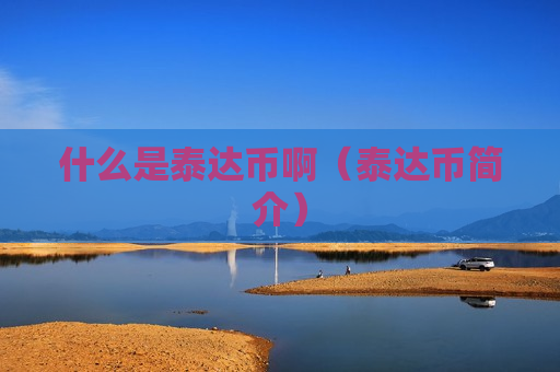 什么是泰达币啊（泰达币简介）