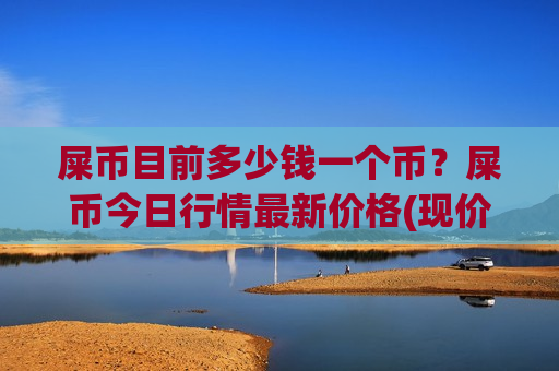 屎币目前多少钱一个币？屎币今日行情最新价格(现价0.00019094元)