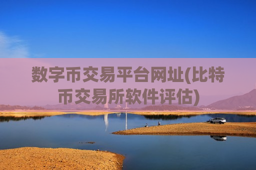 数字币交易平台网址(比特币交易所软件评估)