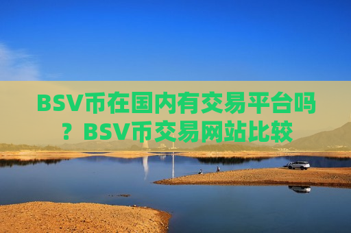 BSV币在国内有交易平台吗？BSV币交易网站比较