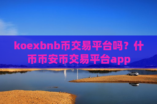 koexbnb币交易平台吗？什币币安币交易平台app