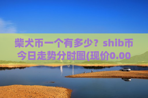 柴犬币一个有多少？shib币今日走势分时图(现价0.00019131元)