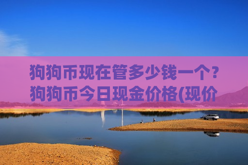 狗狗币现在管多少钱一个？狗狗币今日现金价格(现价2.8638元)