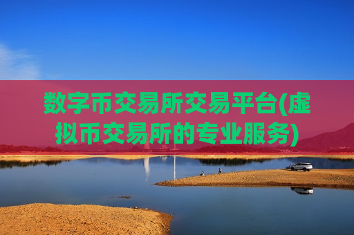 数字币交易所交易平台(虚拟币交易所的专业服务)