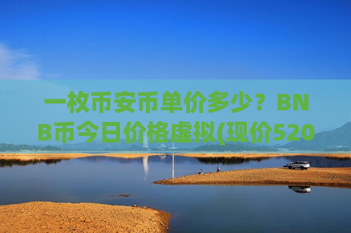 一枚币安币单价多少？BNB币今日价格虚拟(现价5206.59元)