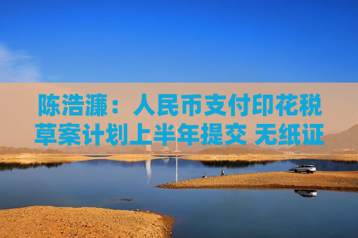 陈浩濂：人民币支付印花税草案计划上半年提交 无纸证券市场制度目标11月实施