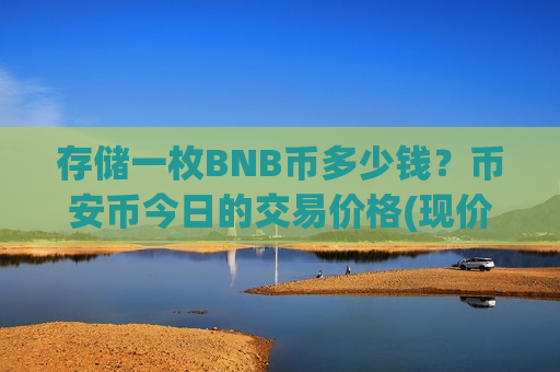 存储一枚BNB币多少钱？币安币今日的交易价格(现价5196.68元)