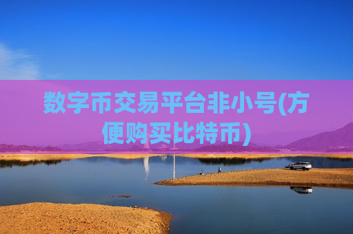 数字币交易平台非小号(方便购买比特币)