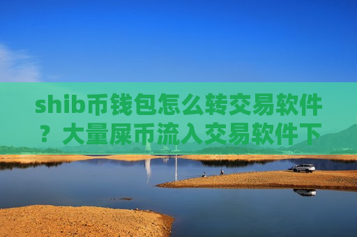 shib币钱包怎么转交易软件？大量屎币流入交易软件下载