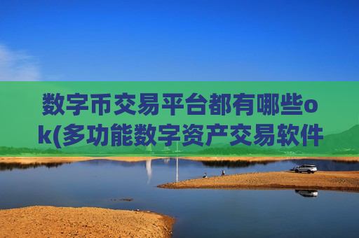 数字币交易平台都有哪些ok(多功能数字资产交易软件)