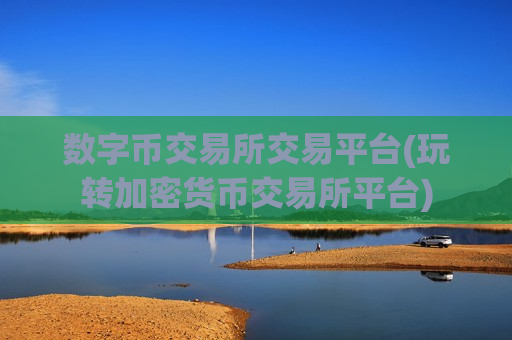 数字币交易所交易平台(玩转加密货币交易所平台)