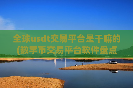 全球usdt交易平台是干嘛的(数字币交易平台软件盘点)