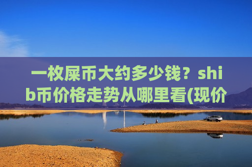 一枚屎币大约多少钱？shib币价格走势从哪里看(现价0.00019008元)