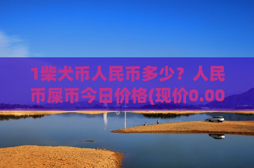 1柴犬币人民币多少？人民币屎币今日价格(现价0.00019029元)