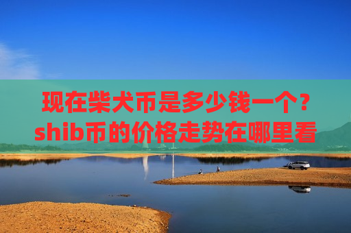 现在柴犬币是多少钱一个？shib币的价格走势在哪里看的(现价0.00018937元)