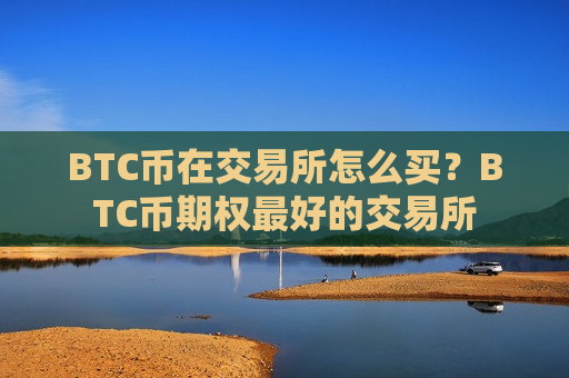 BTC币在交易所怎么买？BTC币期权最好的交易所