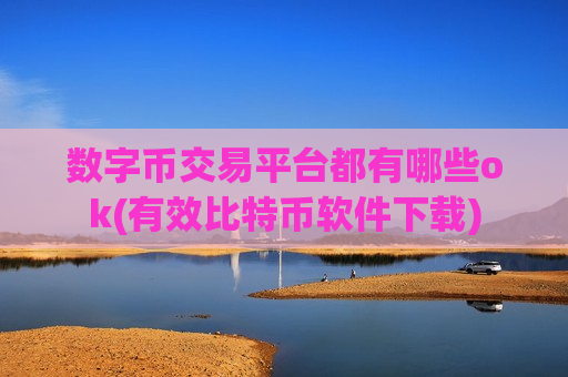 数字币交易平台都有哪些ok(有效比特币软件下载)