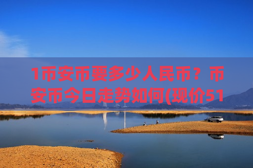 1币安币要多少人民币？币安币今日走势如何(现价5169.65元)