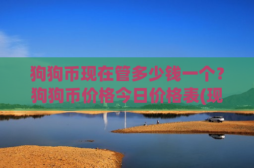 狗狗币现在管多少钱一个？狗狗币价格今日价格表(现价2.8284元)