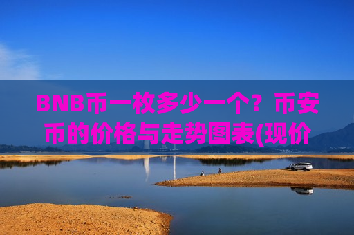 BNB币一枚多少一个？币安币的价格与走势图表(现价5176.65元)