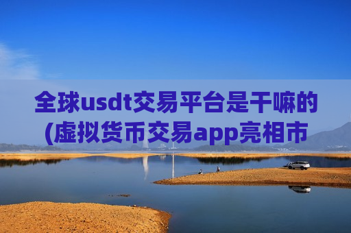 全球usdt交易平台是干嘛的(虚拟货币交易app亮相市场)