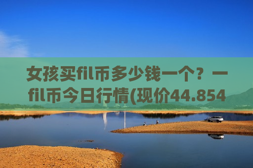 女孩买fil币多少钱一个？一fil币今日行情(现价44.8544元)