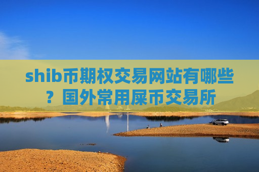 shib币期权交易网站有哪些？国外常用屎币交易所