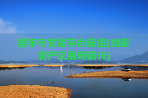 数字币交易平台链接(加密资产交易所新兴)