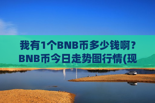 我有1个BNB币多少钱啊？BNB币今日走势图行情(现价5141.9元)