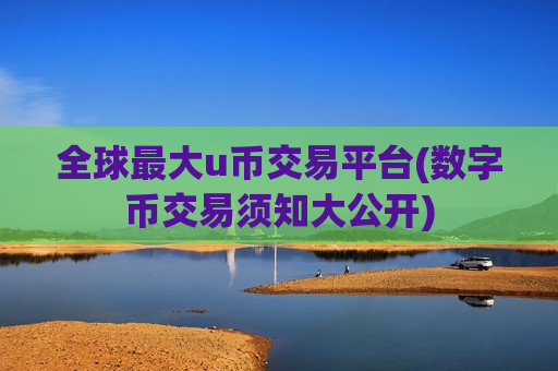全球最大u币交易平台(数字币交易须知大公开)