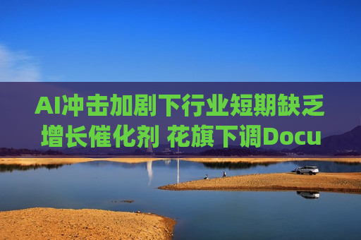 AI冲击加剧下行业短期缺乏增长催化剂 花旗下调DocuSign(DOCU.US)等多只软件股评级