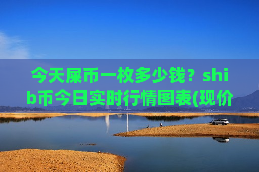 今天屎币一枚多少钱？shib币今日实时行情图表(现价0.0001865元)