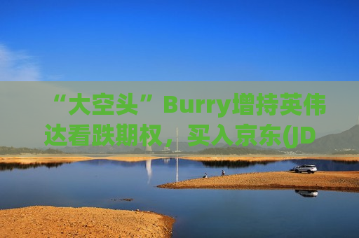 “大空头”Burry增持英伟达看跌期权，买入京东(JD.US)和阿里巴巴(BABA.US)股票
