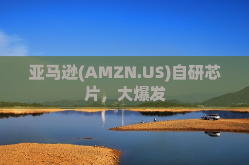 亚马逊(AMZN.US)自研芯片，大爆发