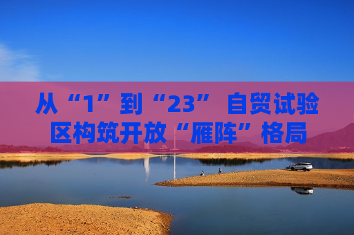 从“1”到“23” 自贸试验区构筑开放“雁阵”格局