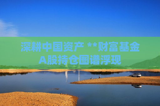 深耕中国资产 **财富基金A股持仓图谱浮现