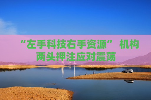 “左手科技右手资源” 机构两头押注应对震荡
