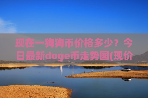 现在一狗狗币价格多少？今日最新doge币走势图(现价2.8241元)