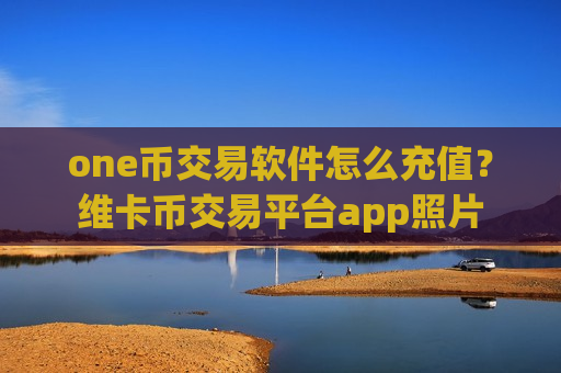 one币交易软件怎么充值？维卡币交易平台app照片