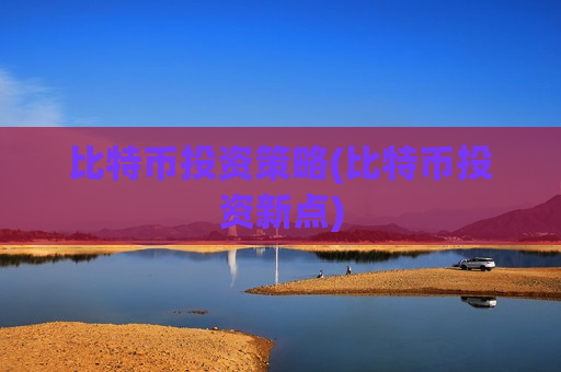 比特币投资策略(比特币投资新点)