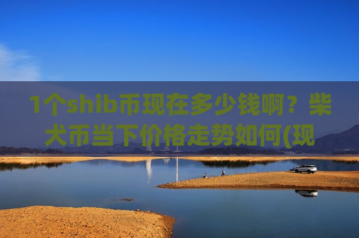1个shib币现在多少钱啊？柴犬币当下价格走势如何(现价0.00019761元)