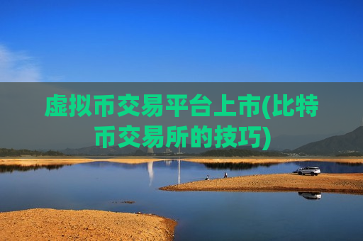 虚拟币交易平台上市(比特币交易所的技巧)