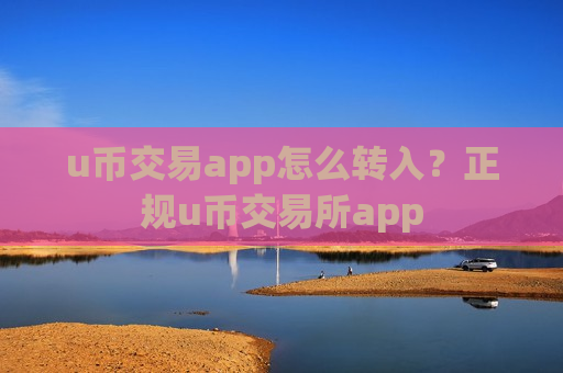 u币交易app怎么转入？正规u币交易所app