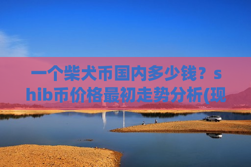一个柴犬币国内多少钱？shib币价格最初走势分析(现价0.00019754元)